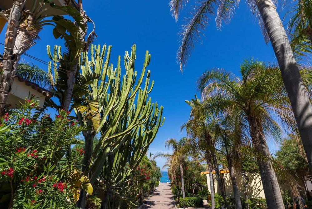 Viale Principale del Villaggio a Tropea